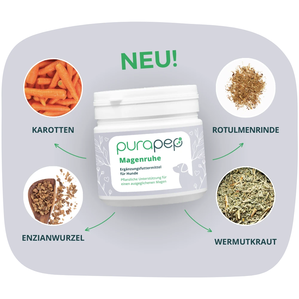 Gezielte Inhaltsstoffe in purapep Reha Tabs: Kollagen, Molke, Glucosamin, Vitaminkomplex, Selen und Zink