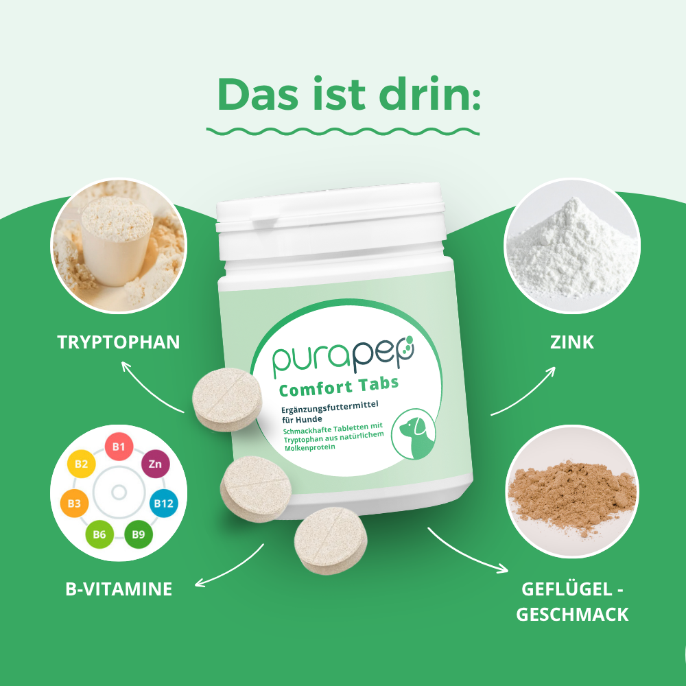 Infografik zu den Inhaltsstoffen von purapep Comfort Tabs: Tryptophan, Zink, B-Vitamine und Geflügelgeschmack rund um die Produktdose