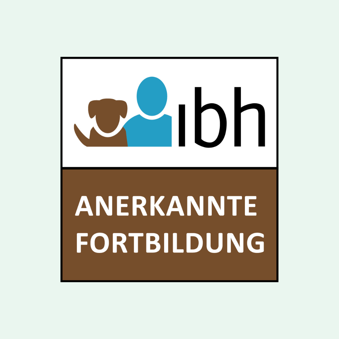 Webinar zur Unterstützung von Hundesenioren – Bild 2