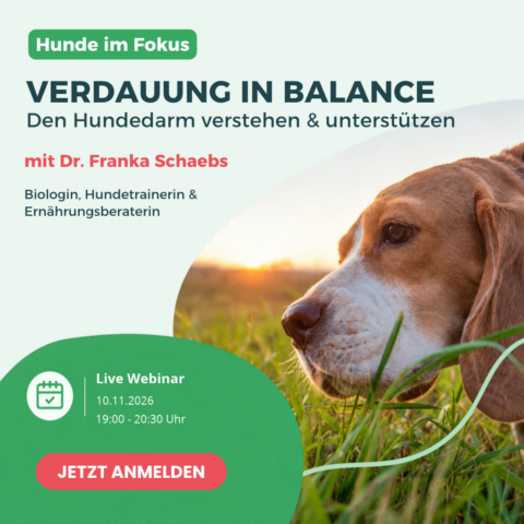 Webinar Verdauung in Balance - den Hundedarm verstehen und unterstützen