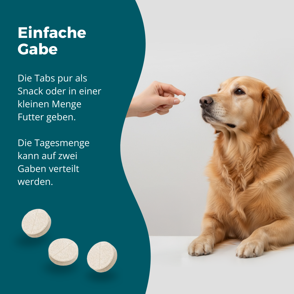 Gabe purapep Active+ Tabs 300g