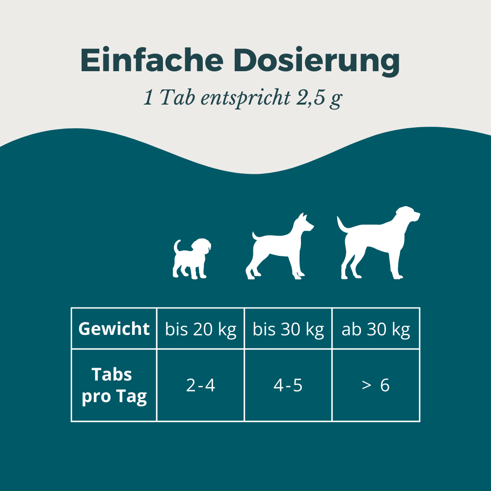 purapep Active+ Tabs Muster für Hunde, 40g – Bild 5