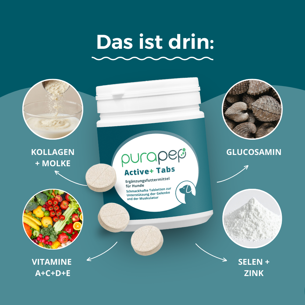 Inhaltsstoffe purapep Active+ Tabs 300g
