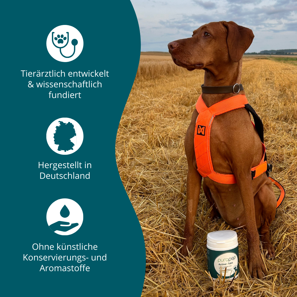 Vorteilen und Alleinstellungsmerkmalen von purapep Active+ Tabs 300g