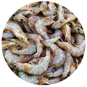 Active Tabs: Glucosamin aus Krebstieren