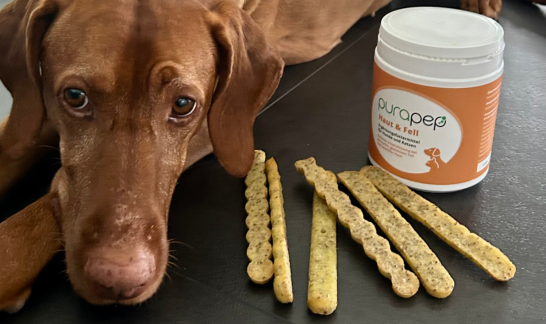 Gesunde Hundekekse mit purapep