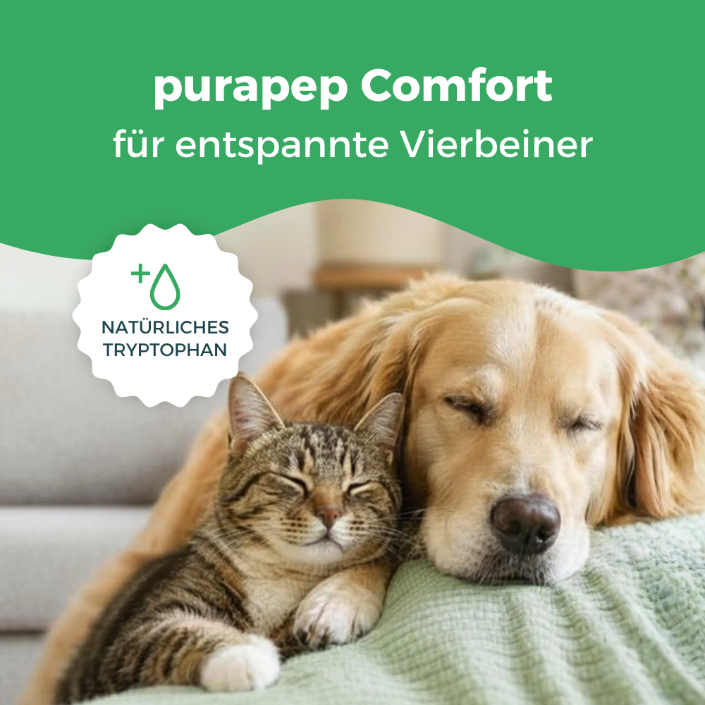 purapep Comfort Pulver mit Tryptophan