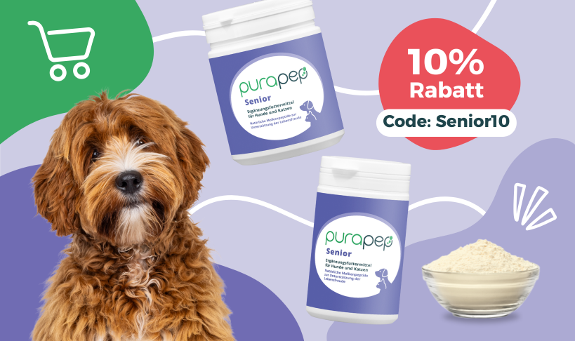 10% Rabatt auf purapep Senior Produkte für Hunde