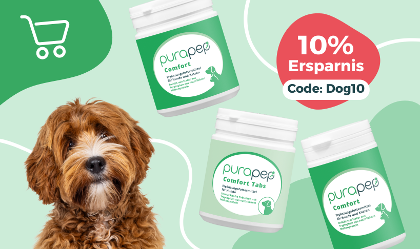 Rabatt 10% Hund mit 3 purapep Dosen