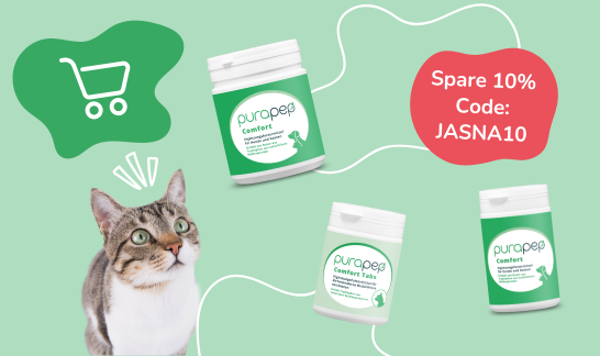 Katze mit purapep Comfort Produkten Pulver und Katzentabs