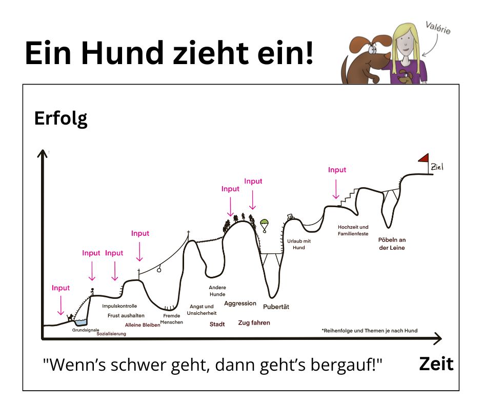Grafik Auf und ab beim Einzug eines Hundes von Valèrie Pöter