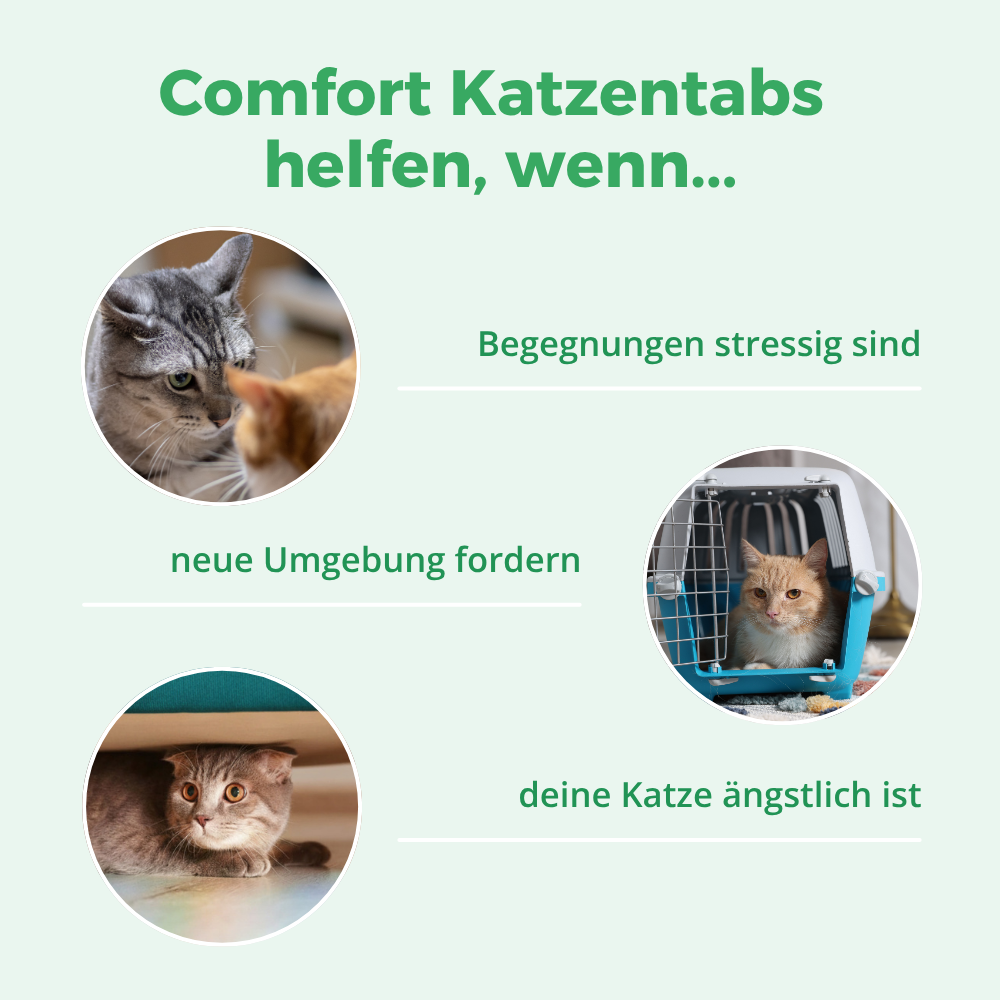 Anwengsfelder purapep Comfort Katzentabs