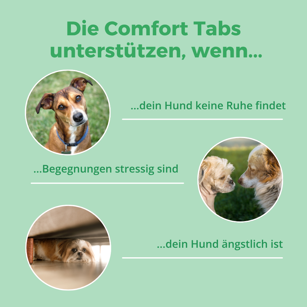 purapep Comfort Hundetabs, 120 Stück – Bild 3