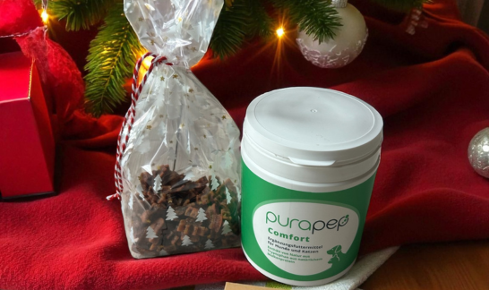 Selbszgebackene Hundekekse mit purpep Comfrot Dose weihnachltlich verpackt