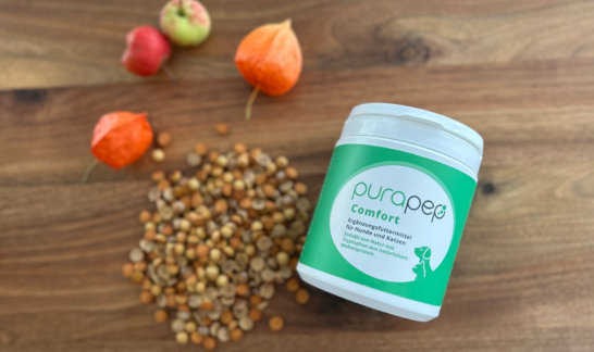 selbstgemachte Hundleckerlis mit Herbstdeko und Dose purapep Comfort 280g
