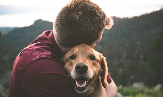 Man hält Hund innig & liebevoll umarmt