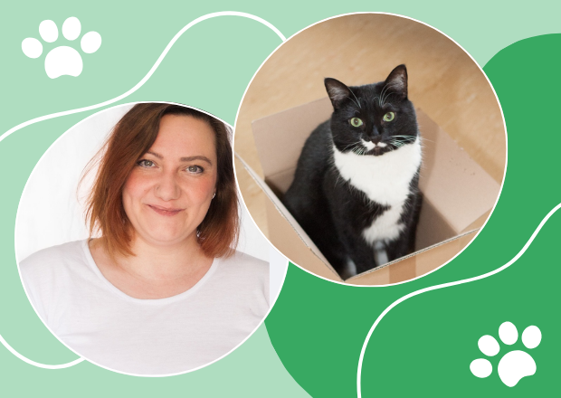 Katzengerechte Haltung in der Wohnung – 12 Tipps gegen Stress im Interview mit Katzen-Expertin