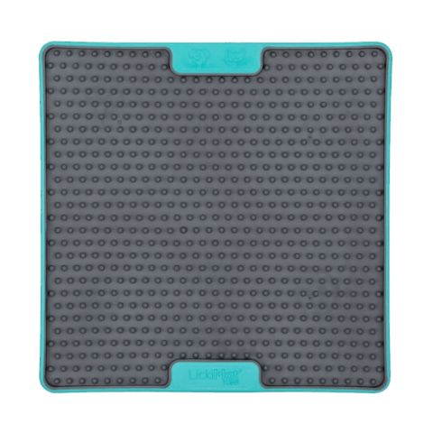 LickiMat-Soother-Tuff-turquoise Frontansicht