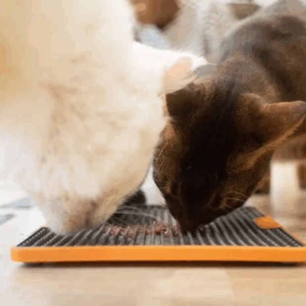 2 Katzen schlecken von Schleckmaate Soother Tuff