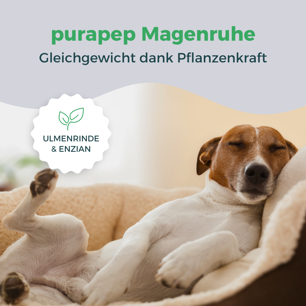 purapep Magenruhe mit Ulmenrinde und Enzian – Gleichgewicht dank Pflanzenkraft
