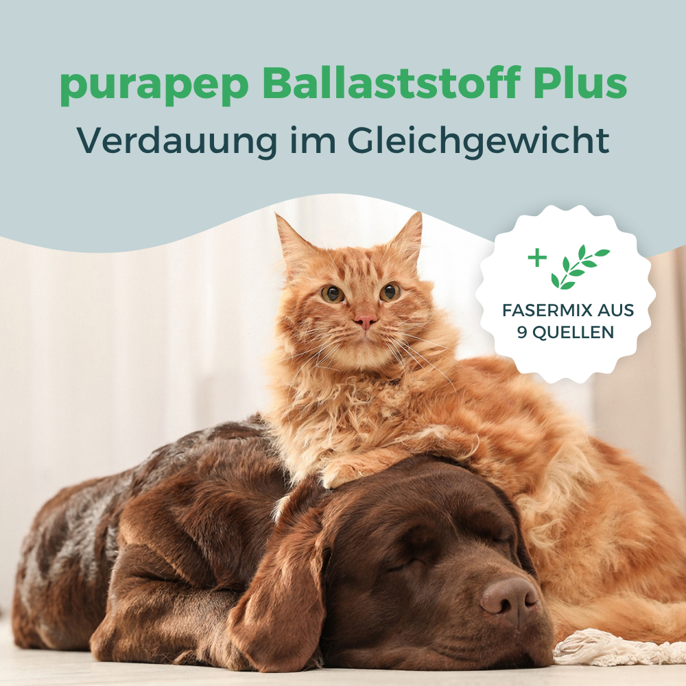purapep Ballaststoff Plus für Hund und Katze – Fasermix aus 9 Quellen für ausgeglichene Verdauung