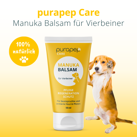 Manuka Honig für Vierbeiner mit Hund