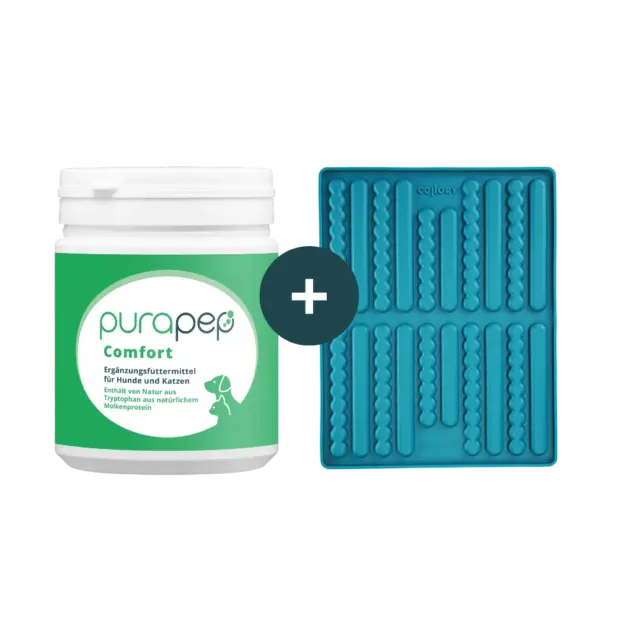 purapep Comfprt Pulver 280g plus Collory Backmatte Stick medium
