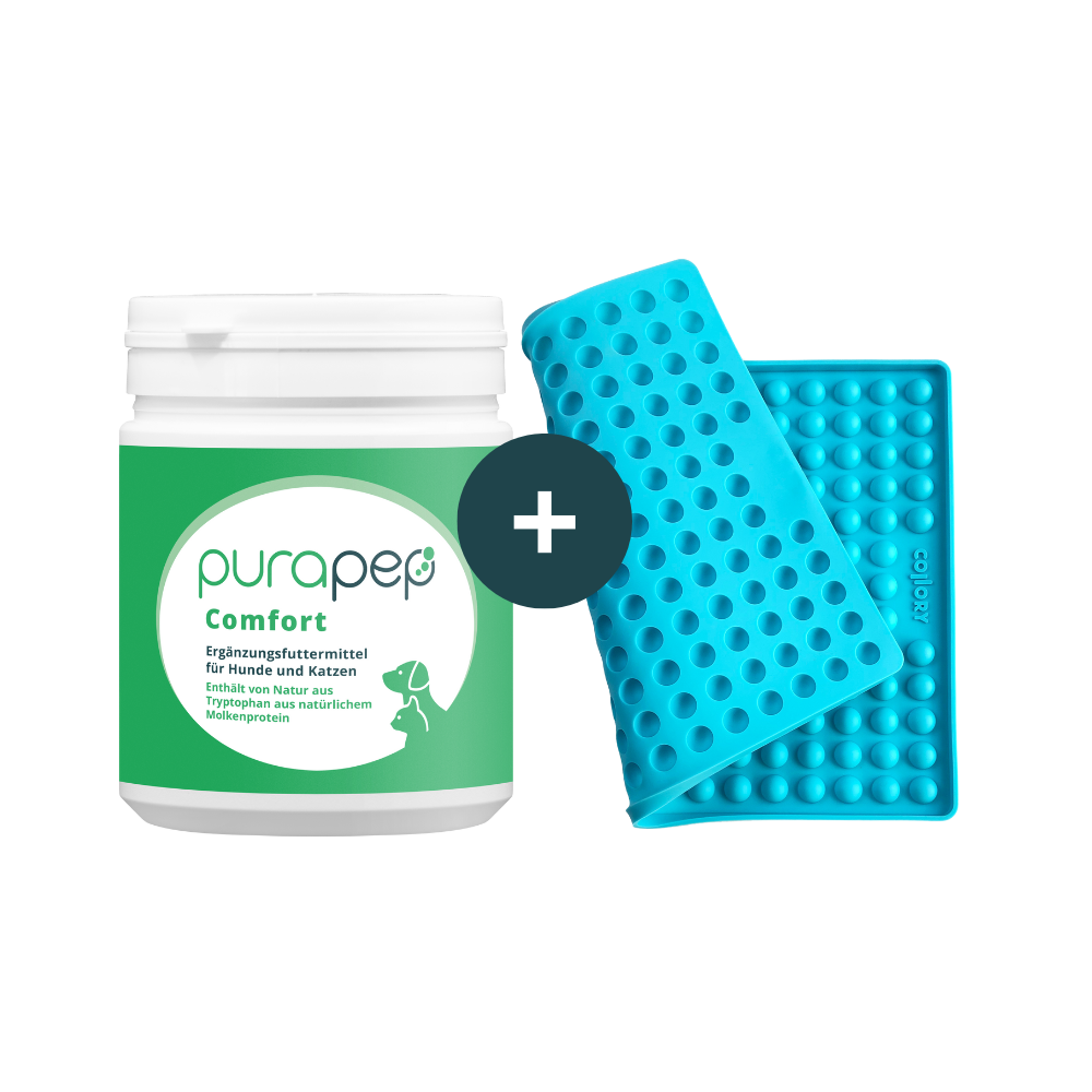 purapep Comfort Dose 280g plus Collory Backmatte Halbkugel 1,5cm