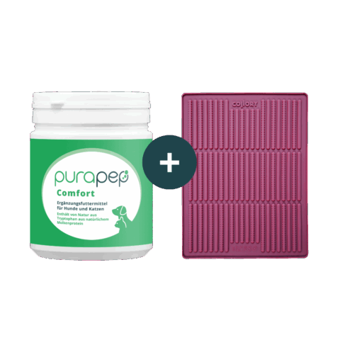 Dose purapep Comfortt280g + Collory Stickbackmatte mini burgundy