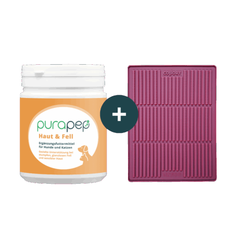 purapep Haut & Fell 280g + Collory BAckmatte Stick mini