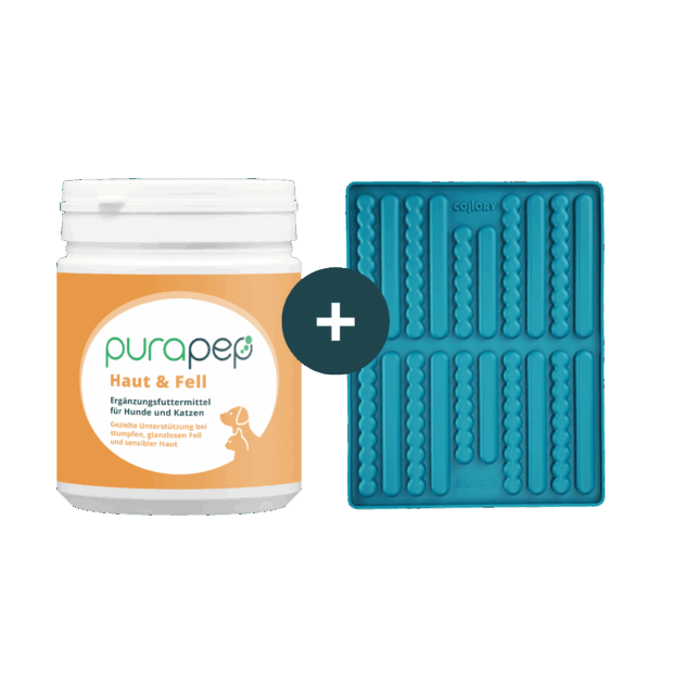 purapep Haut & Fell 280g + Collory Stick-Backmatte medium