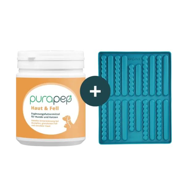 purapep Haut & Fell 280g + Collory Stick-Backmatte medium