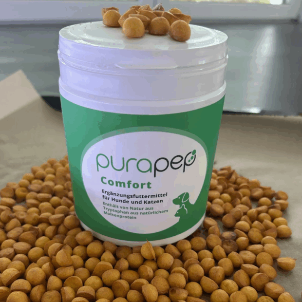 purapep Comfort Dose + fertige Snacks in Kugelform
