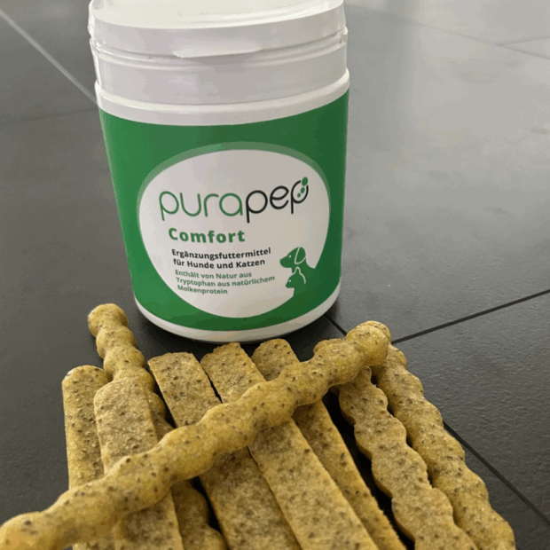 Dosen COmfort Pulver 280g mit Snacks in Stickform