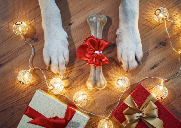 Geschenke für Hunde Ideen