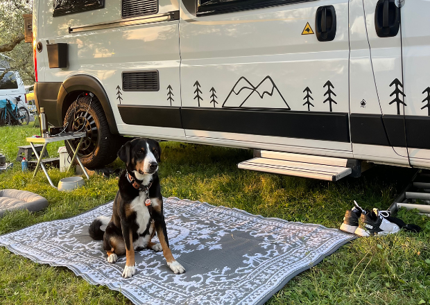 Camping mit Hund: Dein ultimativer Guide für entspannte Abenteuer auf vier Pfoten