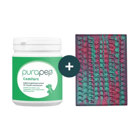 purapep Comfort 280g Dose + Collory Weihnachtsbackmatte