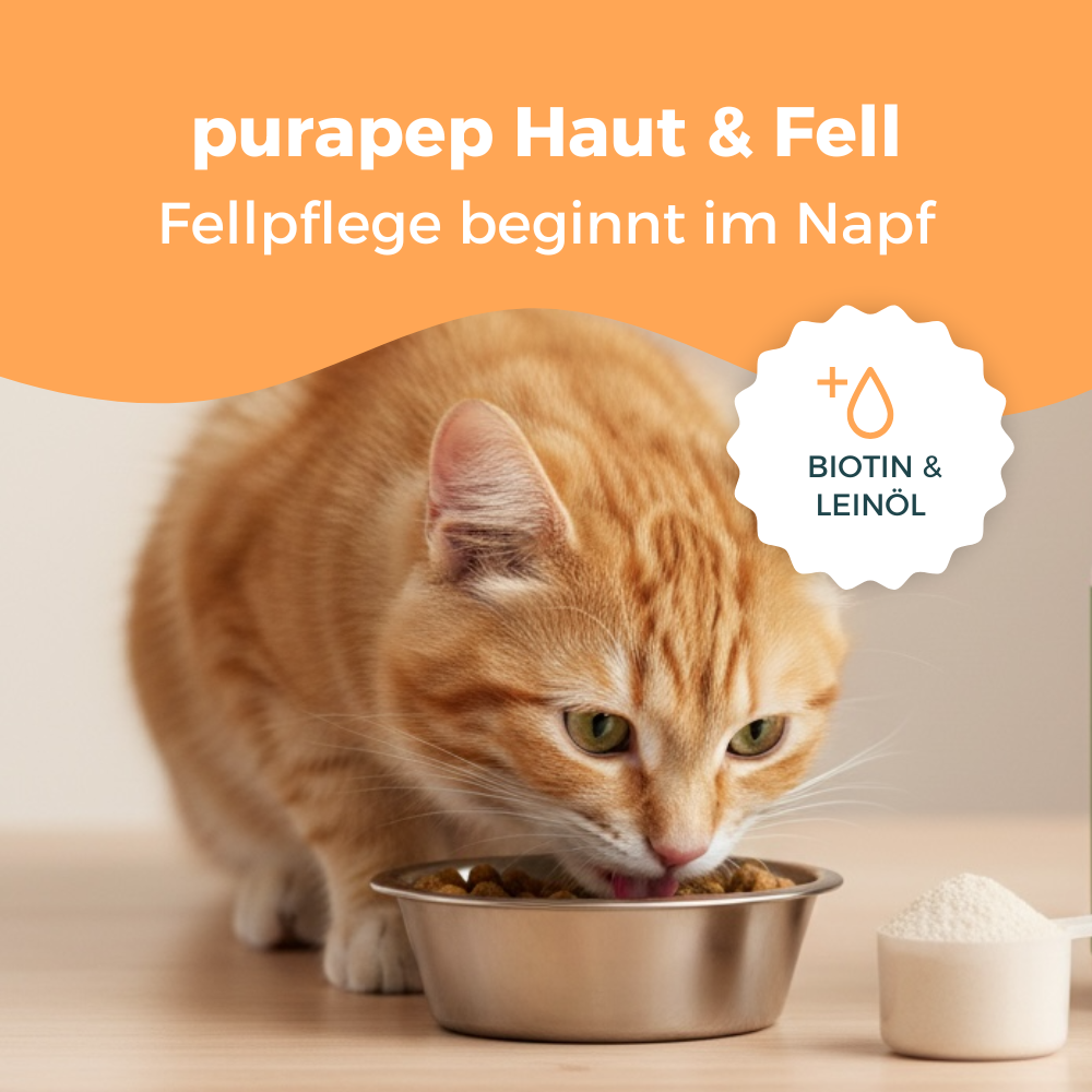 purapep Haut & Fell Pulver Hunde & Katzen, 100g – Bild 2