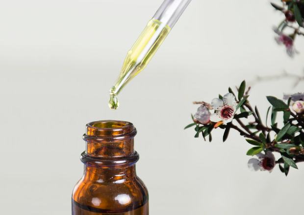 Manuka-Öl für Hunde – Natürliche Pflege bei Hautproblemen