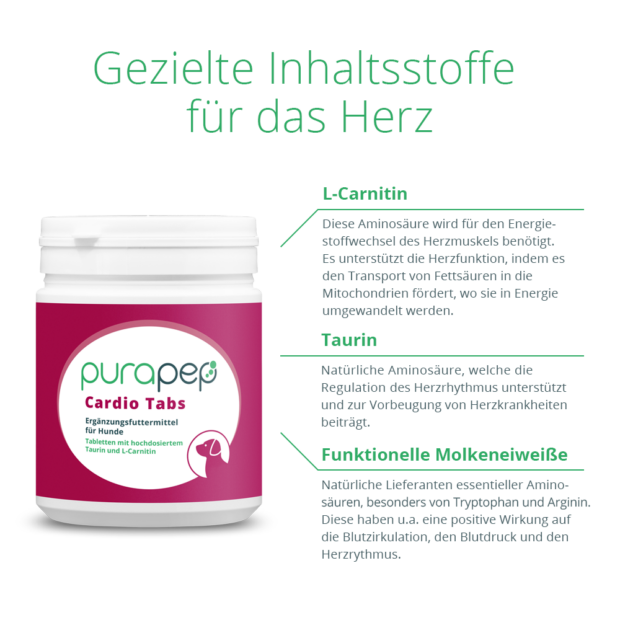 purapep Cardio Tabs Hunde, dunkelrote Dose und Liste gezielter Inhaltsstoffe für das Herz: funktionelle Molkenproteine L, Carnithin, Taurin. Futterergänzung für Hunde