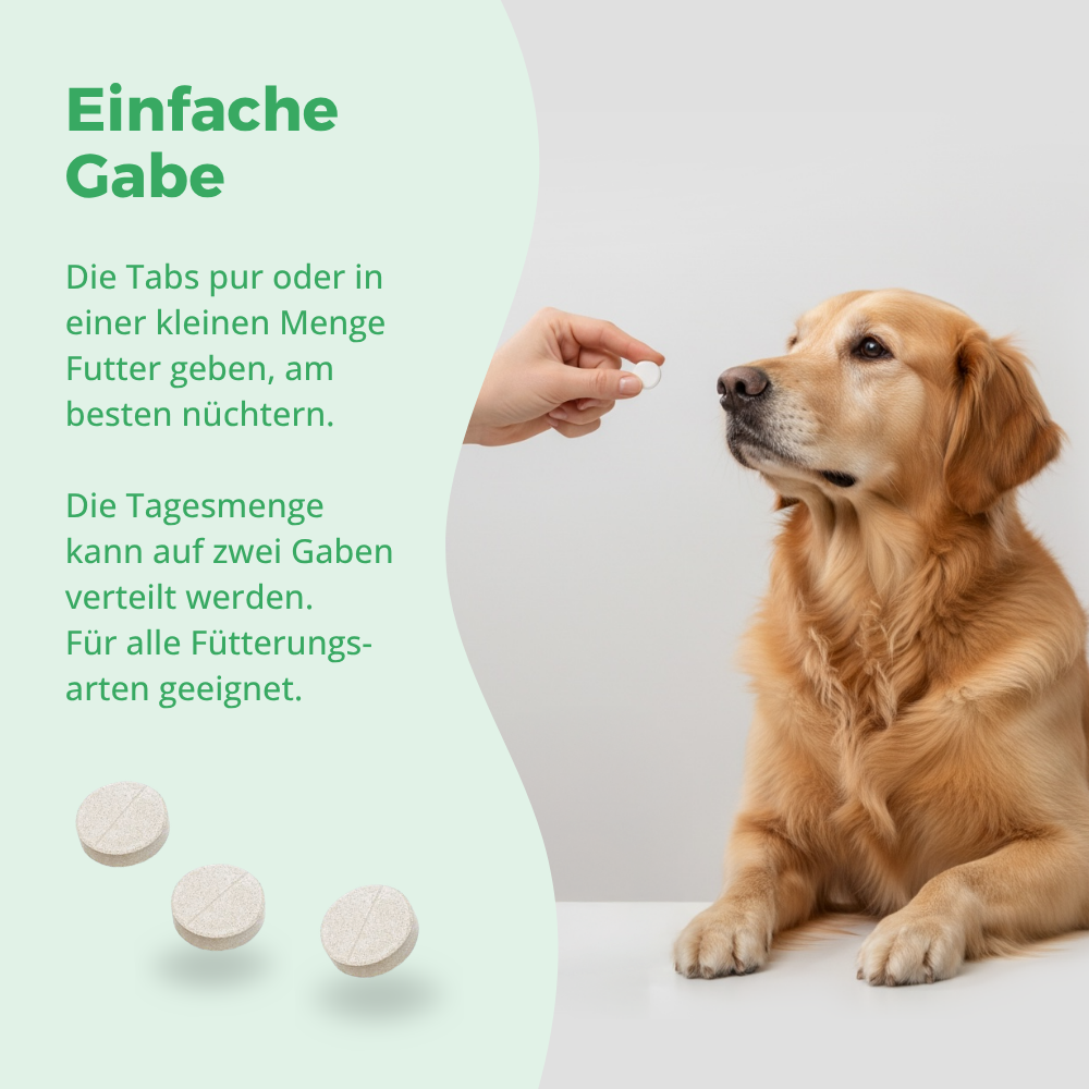 Einfache Gabe der purapep Comfort Sensitiv Tabs direkt oder mit dem Futter