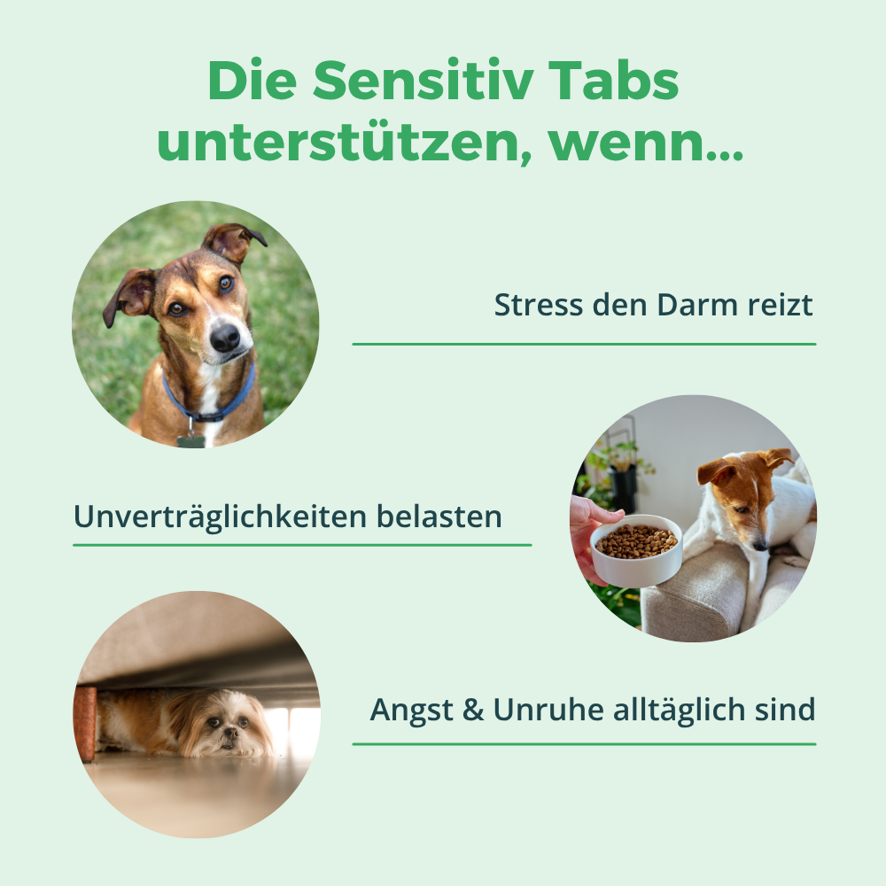 Anwendungsbereiche der purapep Comfort Sensitiv Tabs bei Stress, Unruhe und Unverträglichkeiten