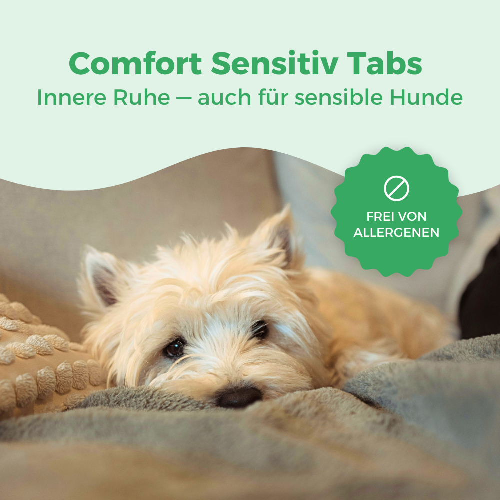 Comfort Sensitiv Tabs für innere Ruhe bei sensiblen Hunden