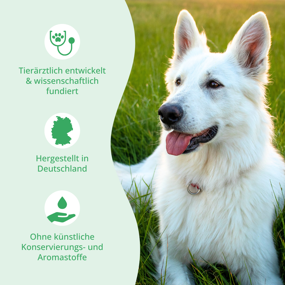 Hund mit Hinweisen zur Qualität der purapep Comfort Sensitiv Tabs