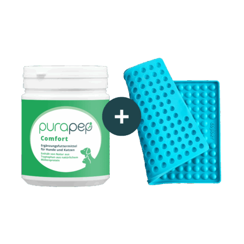 purapep Comfort 280g und Backmatte Halbkugel 1,5cm türkis Medium