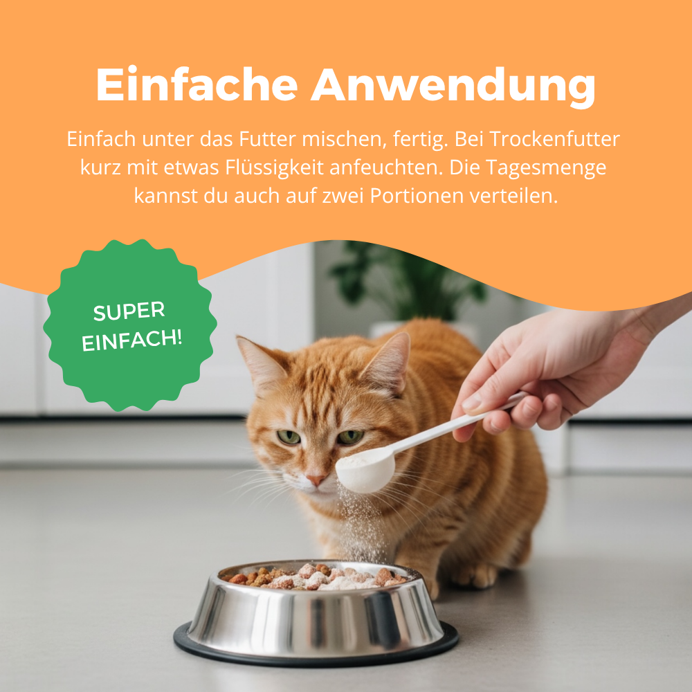 purapep Haut und Fell für Katzen Anwendung