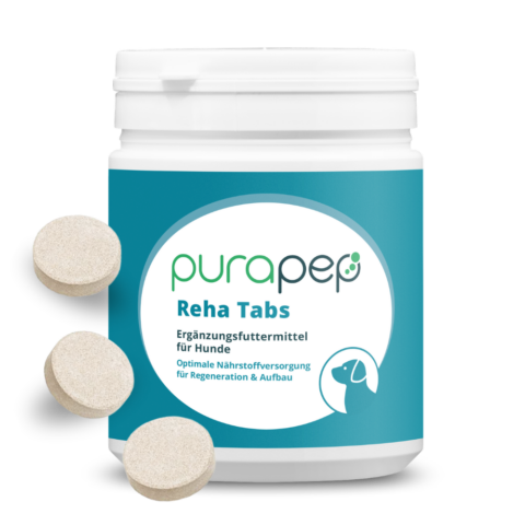 purapep Reha Tabs Fontansicht mit 3 Tabs