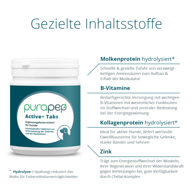 purapep Active+ Tabs, dunkelblaue Dose und Liste der Inhaltsstoffe, Molkenprotein B-Vitamine Kollagenprotein Zink, Futterergänzung für Hunde