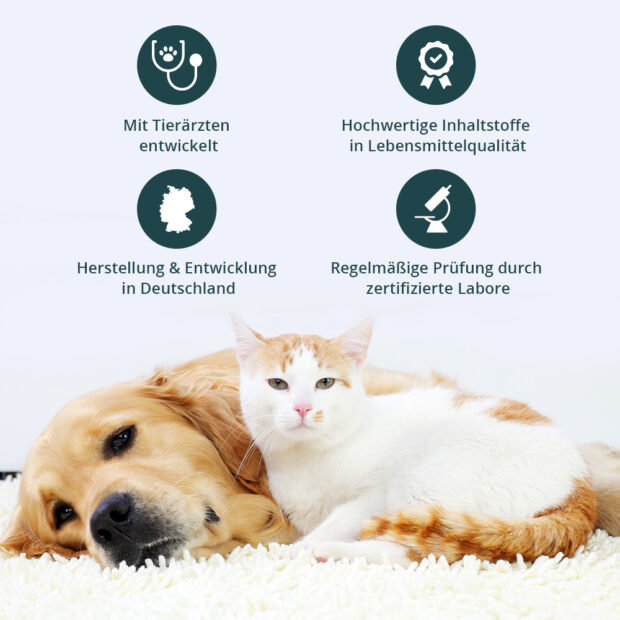Hund und Katze kuscheln entspannt, Icons mit Vorteilen und Alleinstellungsmerkmalen von purapep Comfort 100g