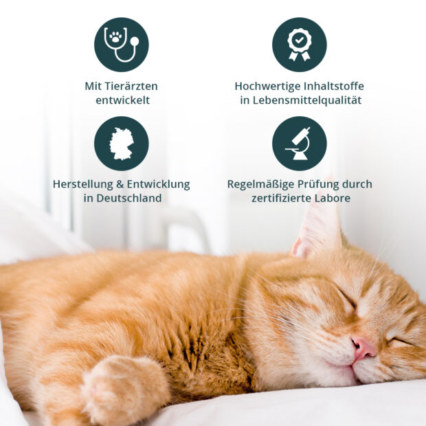 Katze liegt entspannt auf Kissen, Icons mit Vorteilen und Alleinstellungsmerkmalen von purapep Comfort Tabs Katzen 120g